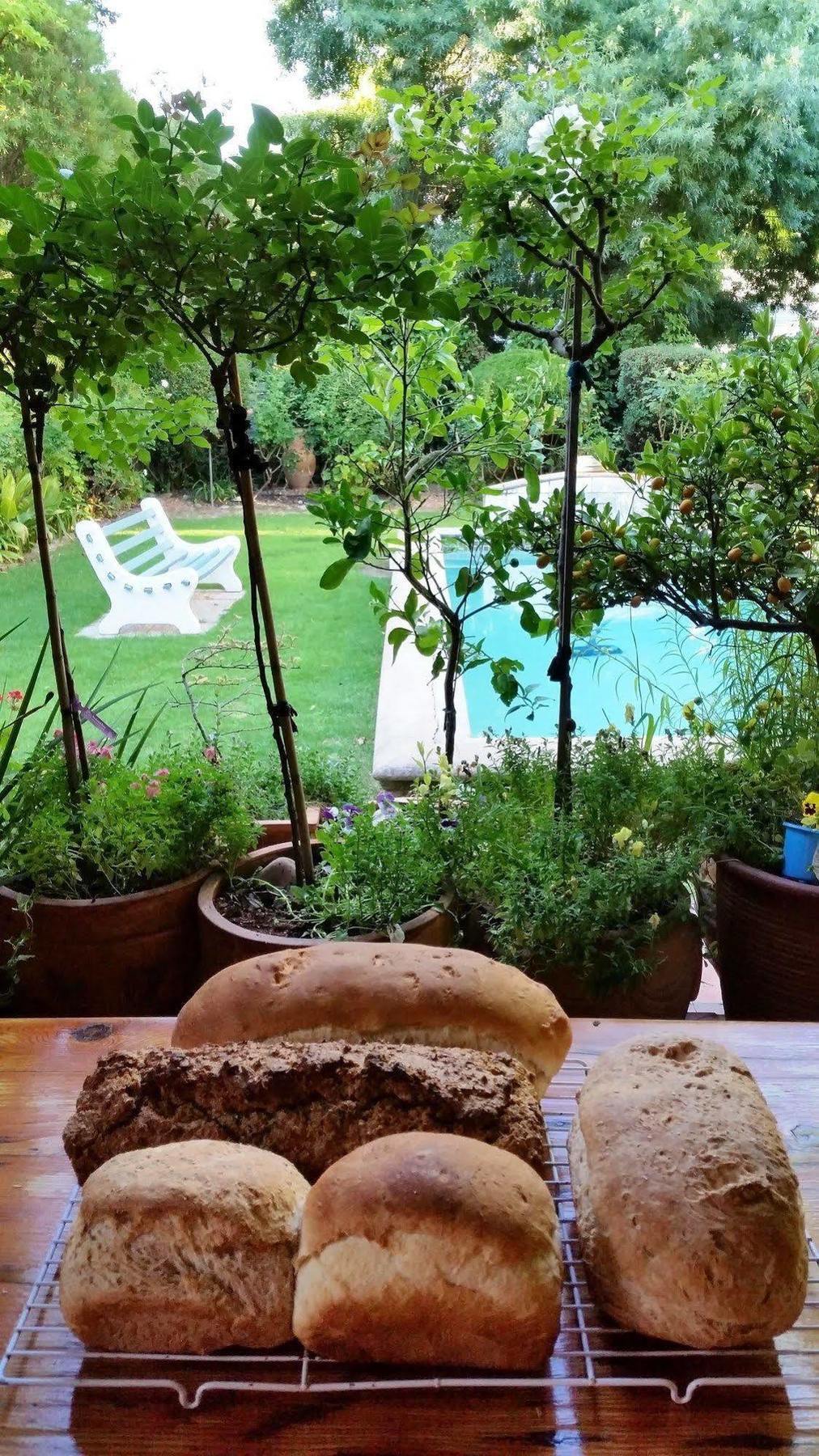 10 Alexander B&B Στέλενμπος Εξωτερικό φωτογραφία